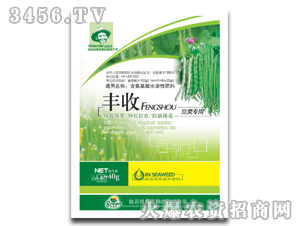 �S�ն����