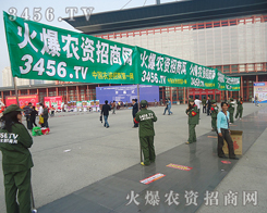 ꖹ������҂��Ĳ�����Ȼ�pӯ