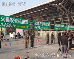 ������Z�Z���ҵ�Ͷ�����Ϸ��r(n��ng)�Y����