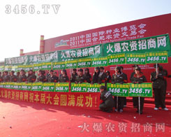 ����ꠄ��^��ӿ��Ū����2011�Ϸ��r(n��ng)�Y��