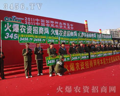 ������������ֱǰ