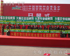 ����Ӣ����������