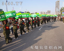 �e�O�U(ku��)չ�W(w��ng)վӰ������İ�ƴ������l(f��)�P(y��ng)����