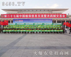 ����ۂ���������