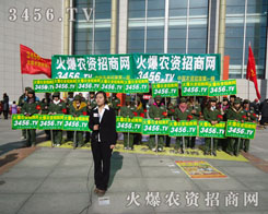 �@��һ��ǰ��δ�е�ʢ��