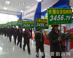 ���M����(zh��n)��·�ϣ����r(n��ng)�Y���̾W(w��ng)��꠲��˿s���ŗ�