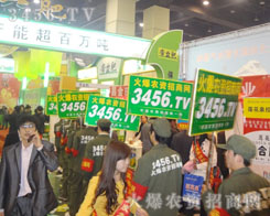 �𱬾W(w��ng)��(chu��ng)���·f��������ʽԽ��(l��i)Խ�V�����P(gu��n)ע