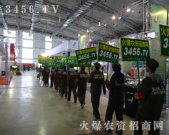 2013�����L���r�Y���������r�Y���̾W�ɐ۵����ނ���չ��������