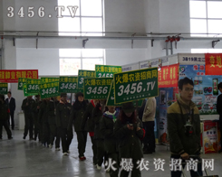 2013�L���N�ӕ��������r�Y���̾W���Ӹ߸��e��������