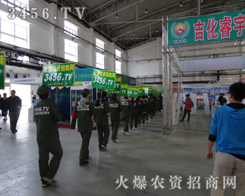 ���r(n��ng)�Y���̾W(w��ng)��2013�|�����ϕ����������^����һ��չʾ�ęC��