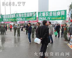 ���r(n��ng)�Y�W(w��ng)��S��ԏጡ�ʲô��ȫ���Ը���