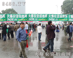 ӭ��ϼ������ϼ�����r(n��ng)�Y���̾W(w��ng)��(ji��n)�ֵ���