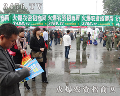 ���۲��ϵĻ��r(n��ng)�Y���̾W(w��ng)�Z���׏�(f��)�ʕ��Ą���