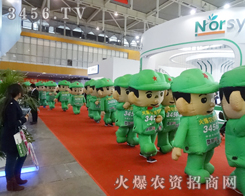 �ꇘ��������ϲҊ��ģ������