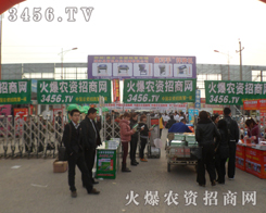 ���r(n��ng)�Y���̵ľGɫ����܊�F(tu��n)�(du��)��(l��i)�����f�r(n��ng)�Y��(hu��)��