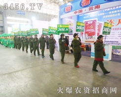 ���r(n��ng)�Y���̾W(w��ng)�ľGɫ܊�F���e�����ư���ͦ�ص����ڌ����ĕ���