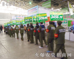 ���r(n��ng)�Y���̾W(w��ng)�����F(tu��n)�(du��)��(qi��ng)��(sh��)������������(hu��)չ�F(xi��n)��(ch��ng)