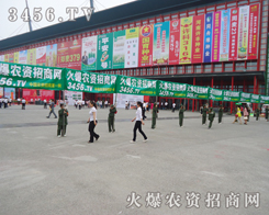 2013�����߲˷N�ӕ�(hu��)�����r(n��ng)�Y�W(w��ng)��Ȼ��ҫ�۵��L(f��ng)��