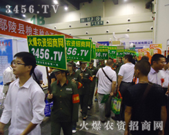 �N���p�������r���o�c��������