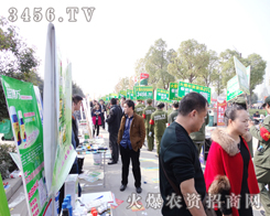 �^���ھ������������\����