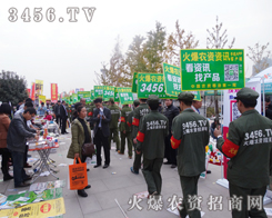 �Z�Z�������ƏV������ʮ�������