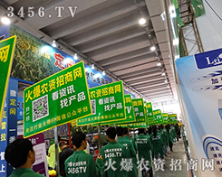 ���߰���������