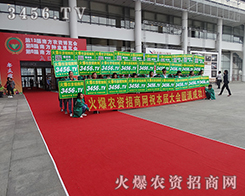 �Z�Z�������ƏV������ʮ���(l��i)����