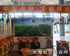 ���u�A���N�����޹�˾����2015�ό��r(n��ng)�Y��-2015��13���Ϸ��r(n��ng)�Y���[��