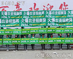 ����꠸�������(zh��n)������ƴ����