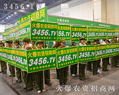 2015���ݷ��ϕ�(hu��)�����r(n��ng)�Y�W(w��ng)��չ���L(f��ng)��