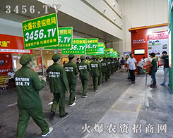 ���˫I��һ�c������������x��