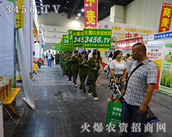 �𱬾W(w��ng)�@һ֧���R���������