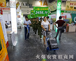 3456.TVһֱ��·��������ͣЪ �ل�(chu��ng)�x��