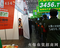 �Gɫ��(zh��n)ʿ���҂�Ŭ�����𱬓P(y��ng)����