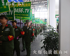 3456.TV���{(di��o)����2015�����r(n��ng)����(hu��)