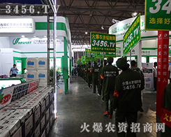 2015�������N�ӽ��ו��㌑������