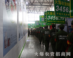 3456.TV���_����������һ�ƪ����