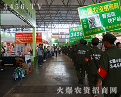 ���c���c���������r(n��ng)�Y�W(w��ng)������������