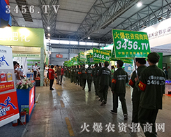 ���r(n��ng)�Y���̾W(w��ng)�ɐ۵đ�(zh��n)ʿ��?c��)�չ�?hu��)���߱�ÿһ��(g��)���������ĵط�