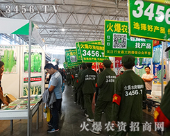 �r(n��ng)�Y�W(w��ng)�R�ąf(xi��)����2015�����r(n��ng)�Y��(hu��)�τ�(chu��ng)���x����