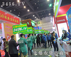 �������e�O���ϵĻ��r(n��ng)�Y���̾W(w��ng)��(zh��n)ʿ��