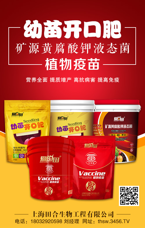 �����_(k��i)�ڷ�