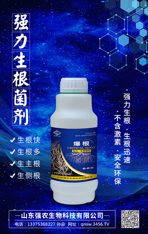 ��(qi��ng)����������