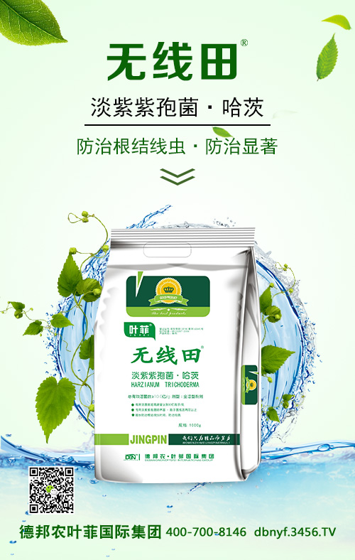 �o(w��)����