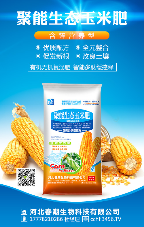 �������B(t��i)���׷�