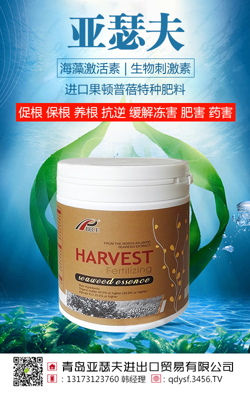 ���弤����������̼���