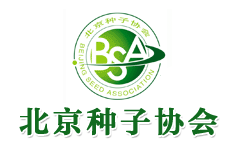 �����N�Ӆf(xi��)��