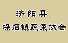 ��(j��)ꖿh��ʯ�(zh��n)�߲˅f(xi��)��