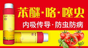 ���ݾG�I(y��)Ԫ�r(n��ng)�I(y��)�Ƽ����޹�˾