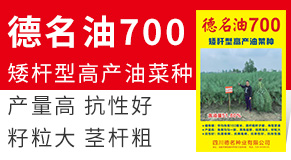 �Ĵ������N�I(y��)���޹�˾